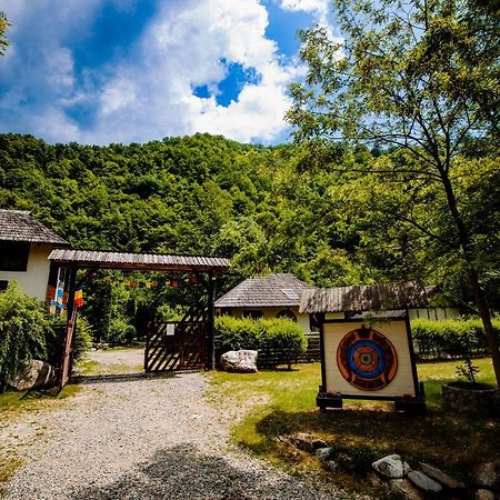 Fratii Jderi - Utopia Verde Brezoi Dış mekan fotoğraf