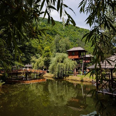 Fratii Jderi - Utopia Verde Brezoi Dış mekan fotoğraf