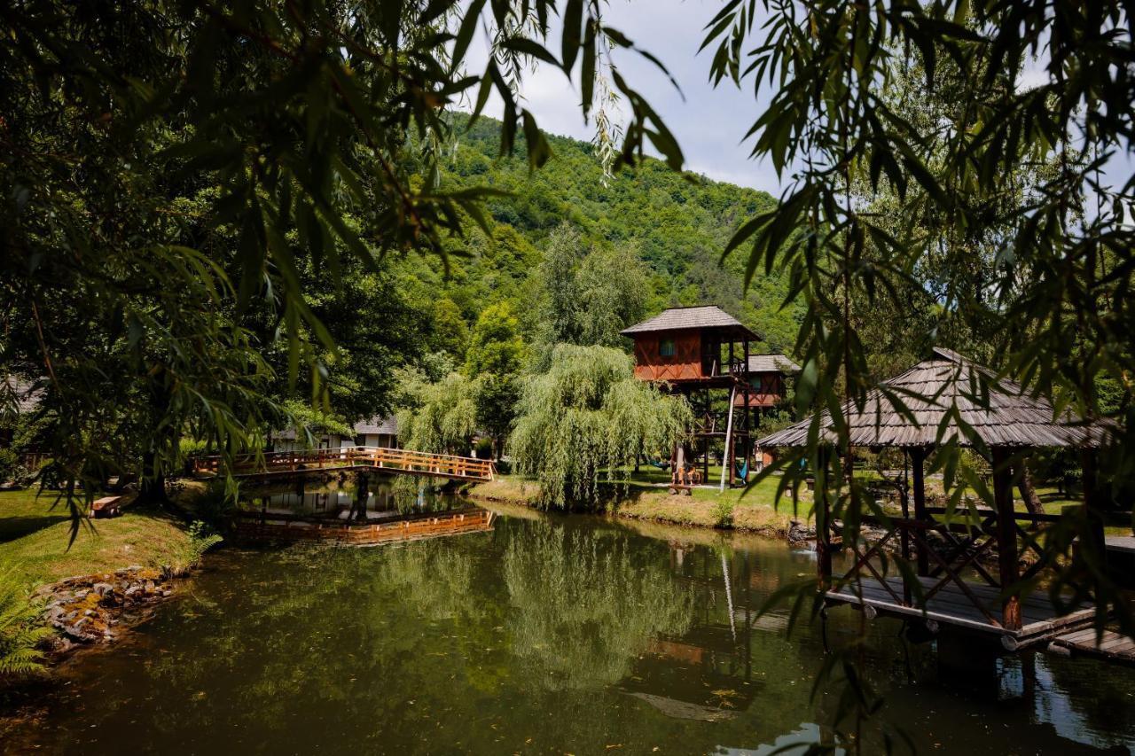 Fratii Jderi - Utopia Verde Brezoi Dış mekan fotoğraf