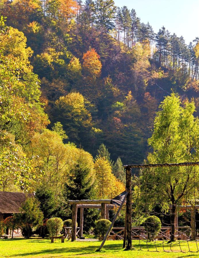Fratii Jderi - Utopia Verde Brezoi Dış mekan fotoğraf