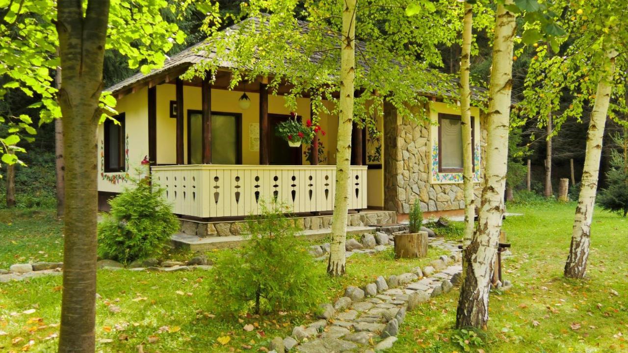 Fratii Jderi - Utopia Verde Brezoi Dış mekan fotoğraf