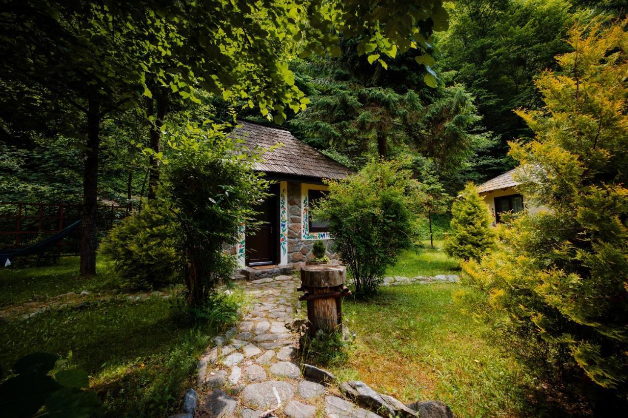 Fratii Jderi - Utopia Verde Brezoi Dış mekan fotoğraf