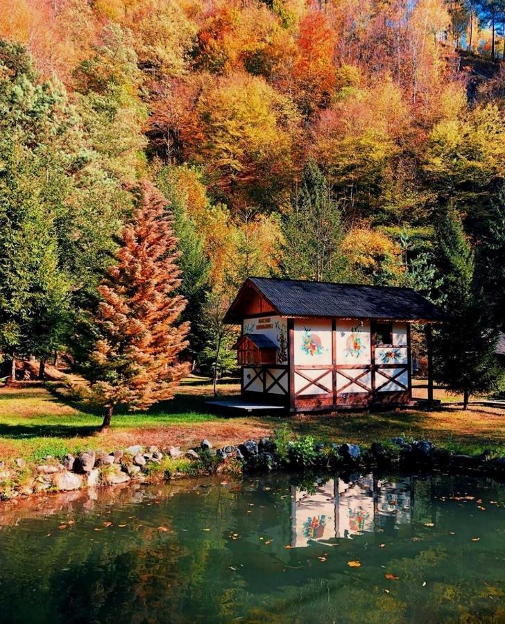 Fratii Jderi - Utopia Verde Brezoi Dış mekan fotoğraf