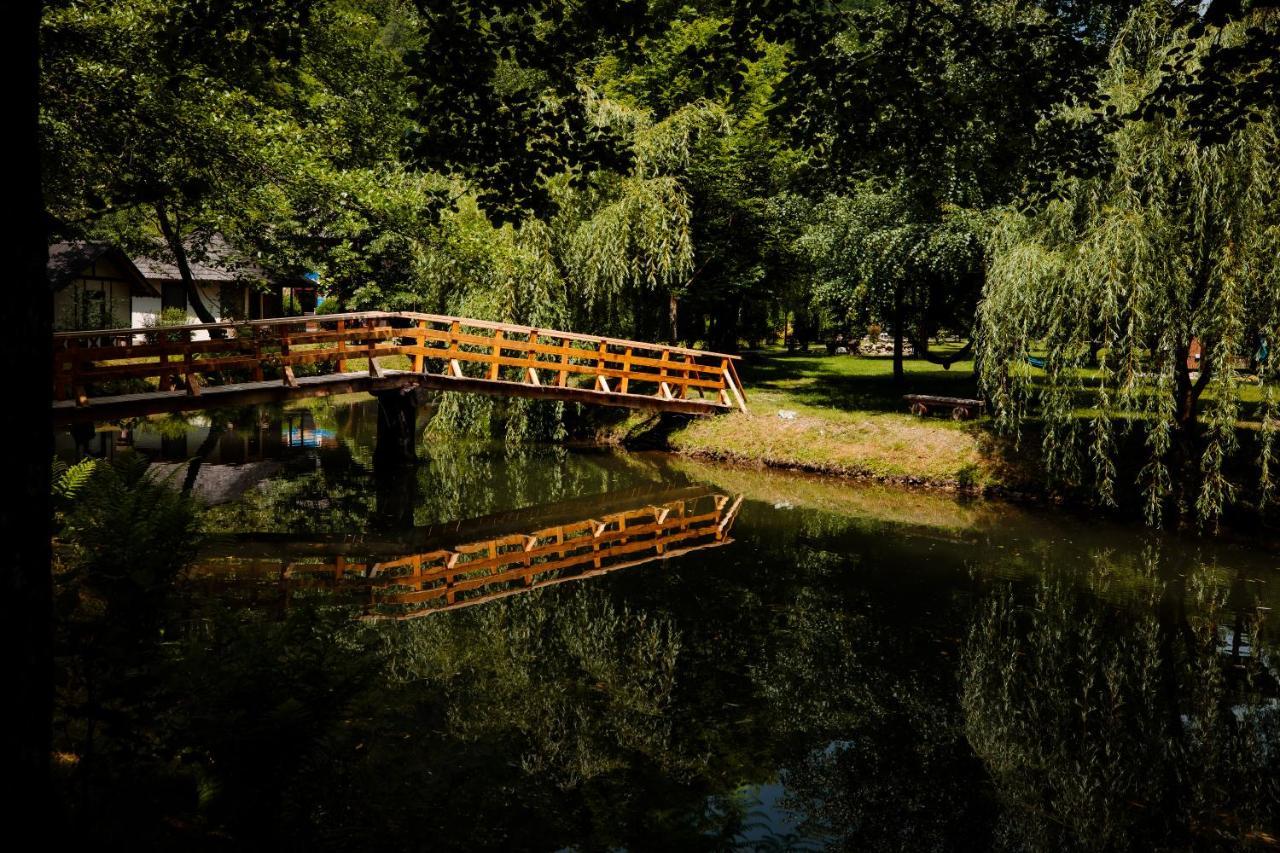Fratii Jderi - Utopia Verde Brezoi Dış mekan fotoğraf